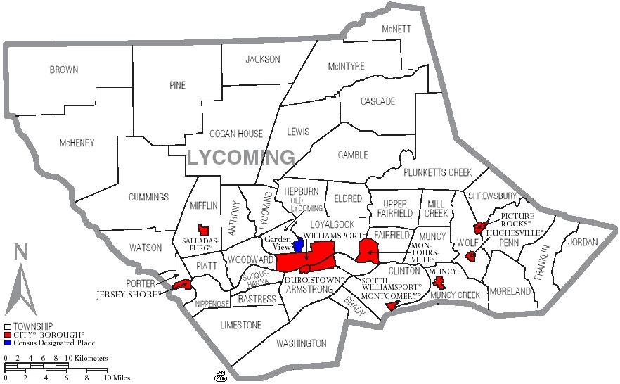 Township Map of Lycoming County, Pa.