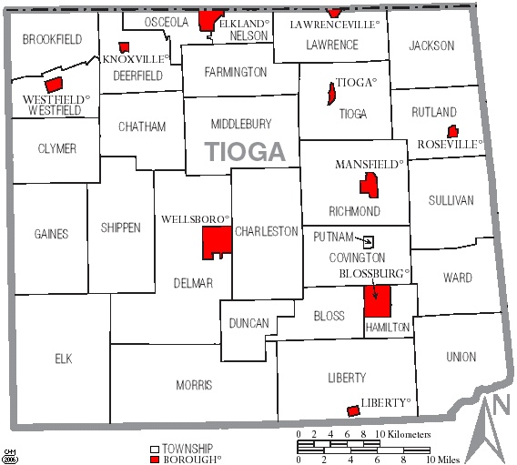 Township Map of Tioga County, Pa.